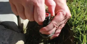 At Conserva Irrigation, We See Potential in Your Leaky Pipes!