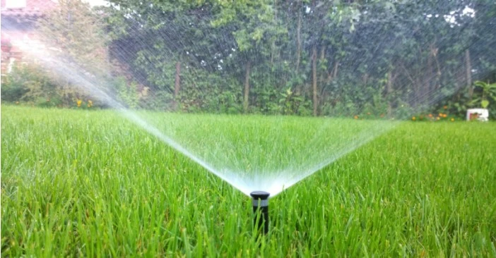 Spotting Trouble During Irrigation Startups - The Edge Newsletter