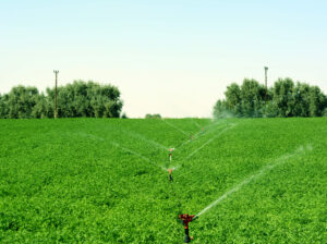 Irrigation Industry