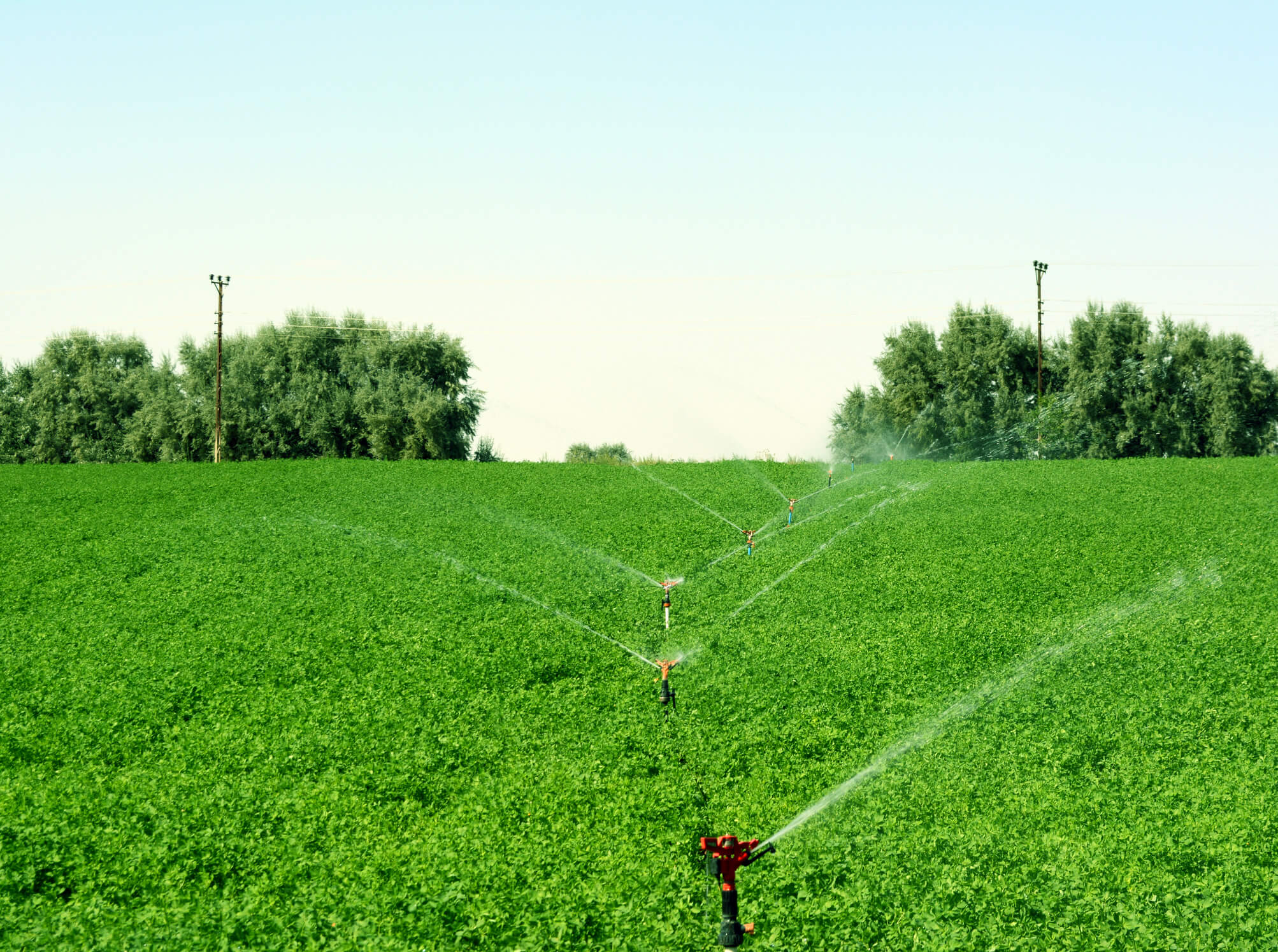 Irrigation Industry