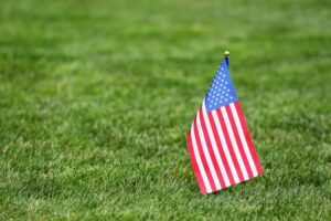 Veteran Franchise Opportunity