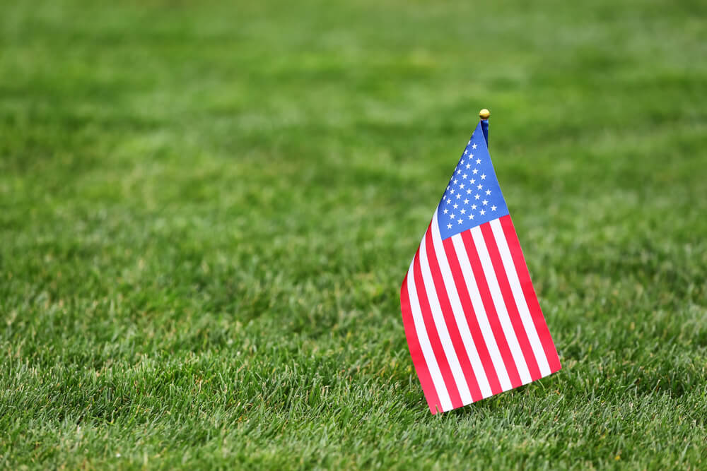 Veteran Franchise Opportunity