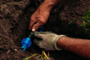 Why Irrigation Services Are in High Demand
